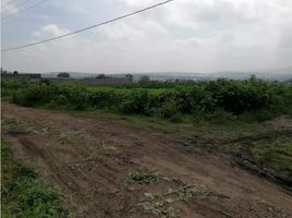  Land for sale in Tarimbaro, Michoacan, Tarimbaro