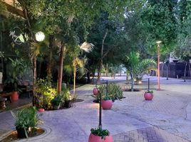 1 Schlafzimmer Appartement zu verkaufen in Cozumel, Quintana Roo, Cozumel