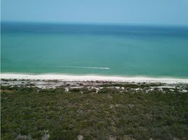  Grundstück zu verkaufen in Celestun, Yucatan, Celestun