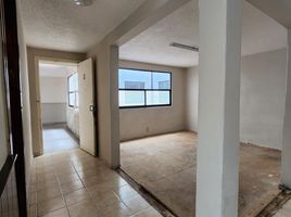 60 m² Office for rent in Ciudad de México, Miguel Hidalgo, Ciudad de México