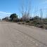  Land for sale in Mendoza, San Rafael, Mendoza