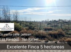  Terrain for sale in San Rafael, Mendoza, San Rafael