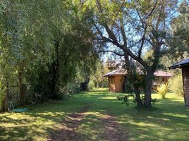 3 Schlafzimmer Haus zu verkaufen in Cautin, Araucania, Pucon