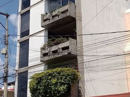 3 Habitación Apartamento en alquiler en Miguel Hidalgo, Ciudad de México, Miguel Hidalgo, Ciudad de México