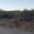  Terreno (Parcela) en venta en Baja California Sur, La Paz, Baja California Sur
