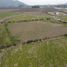  Land for sale in Cachapoal, Libertador General Bernardo Ohiggins, Requinao, Cachapoal