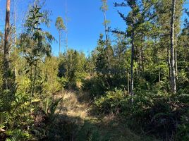  Terreno (Parcela) en venta en Puerto Varas, Llanquihue, Puerto Varas