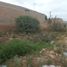  Land for rent in Matamoros, Coahuila, Matamoros