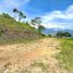  Land for sale in Envigado, Antioquia, Envigado