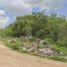  Land for sale in Acanceh, Yucatan, Acanceh