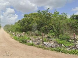 在Acanceh, Yucatan出售的 土地, Acanceh