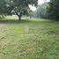  Land for sale in Centro, Tabasco, Centro