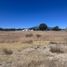  Land for sale in Amozoc, Puebla, Amozoc
