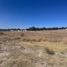  Land for sale in Amozoc, Puebla, Amozoc