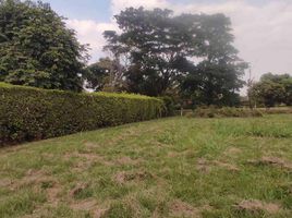  Land for sale in Jamundi, Valle Del Cauca, Jamundi