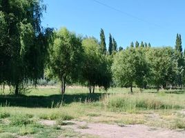  Terreno (Parcela) en venta en Confluencia, Neuquen, Confluencia