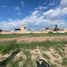  Land for rent in Jesus Maria, Aguascalientes, Jesus Maria, Aguascalientes