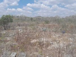 在Dzilam Gonzalez, Yucatan出售的 土地, Dzilam Gonzalez