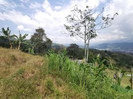  Land for sale in Dosquebradas, Risaralda, Dosquebradas