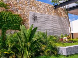  Land for sale in Merida, Yucatan, Merida, Yucatan
