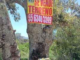  Grundstück zu verkaufen in Jilotepec, Mexico, Jilotepec