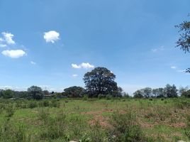  Grundstück zu verkaufen in Jilotepec, Mexico, Jilotepec