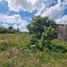  Land for rent in Chicxulub Pueblo, Yucatan, Chicxulub Pueblo