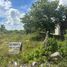  Land for rent in Chicxulub Pueblo, Yucatan, Chicxulub Pueblo
