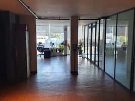 650 m2 Office for rent in Miguel Hidalgo, Mexico City, Miguel Hidalgo