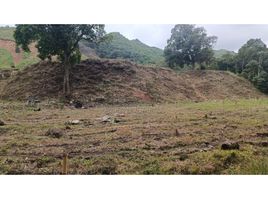  Terreno (Parcela) en venta en Ibague, Tolima, Ibague