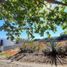  Land for sale in Tuxtla Gutierrez, Chiapas, Tuxtla Gutierrez, Chiapas