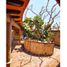 3 Bedroom House for sale in Berriozabal, Chiapas, Berriozabal