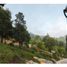  Land for sale in San Cristobal De Las Casas, Chiapas, San Cristobal De Las Casas, Chiapas