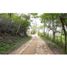 4 Bedroom House for sale in Berriozabal, Chiapas, Berriozabal