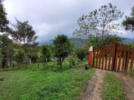 4 Habitación Villa en venta en Viani, Cundinamarca, Viani