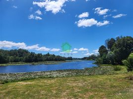  Land for sale in Los Rios, Mariquina, Valdivia, Los Rios