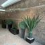 56.65 平米 Office for rent in 墨西哥, Alvaro Obregon, Mexico City, 墨西哥