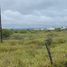  Terreno (Parcela) en alquiler en Acuna, Coahuila, Acuna
