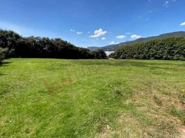  Terreno (Parcela) en venta en Chia, Cundinamarca, Chia