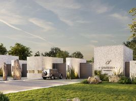  Land for sale in Montemorelos, Nuevo Leon, Montemorelos