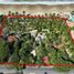  Land for sale in Petatlan, Guerrero, Petatlan