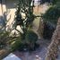 1 Bedroom Apartment for rent in Tijuana, Baja California, Tijuana