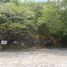  Terreno (Parcela) en venta en Dist Pochutla, Oaxaca, Dist Pochutla