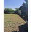  Land for rent in Guadalupe, Nuevo Leon, Guadalupe