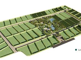  토지을(를) Montemorelos, 누에 보 레온에서 판매합니다., Montemorelos