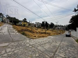 Grundstück zu verkaufen in Almoloya De Juarez, Mexico, Almoloya De Juarez