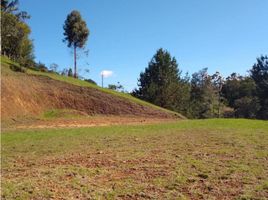  Terreno (Parcela) en venta en Mina De Sal De Nemocón, Bogotá, Bogotá