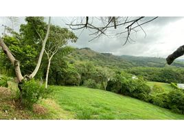  Land for sale in Jamundi, Valle Del Cauca, Jamundi