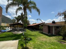 2 Schlafzimmer Haus zu verkaufen in Tala, Jalisco, Tala