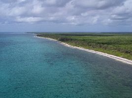  Grundstück zu verkaufen in Othon P Blanco, Quintana Roo, Othon P Blanco